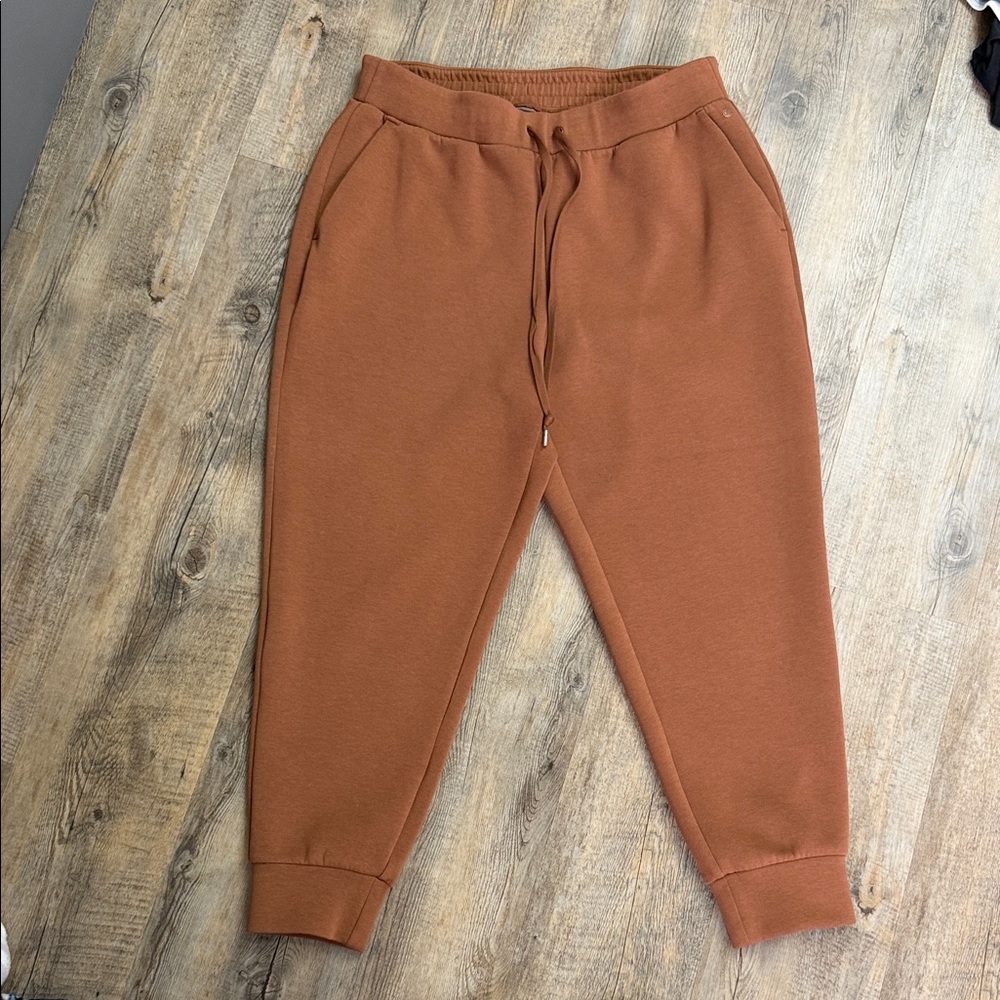 Rust Orange Jogger Pants by Calia